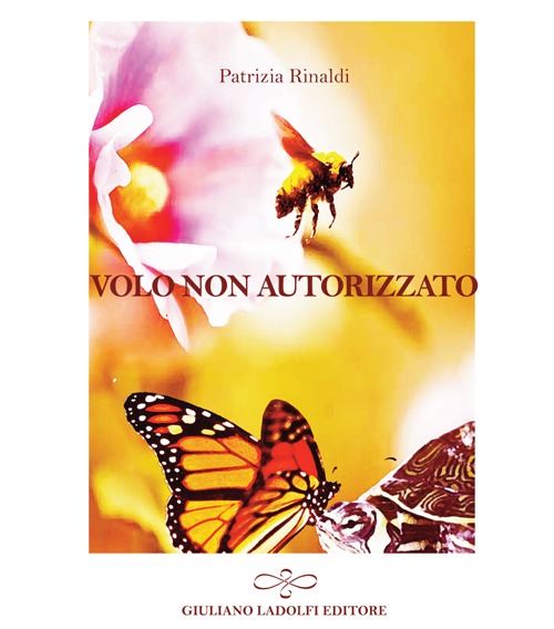 Volo non autorizzato