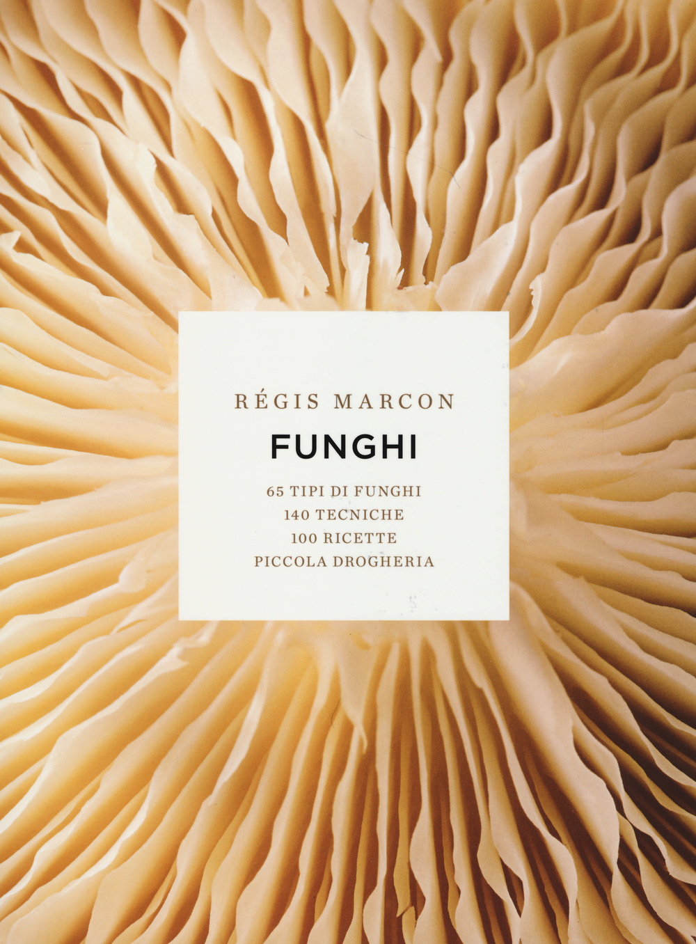 Funghi. 65 tipi di funghi, 140 tecniche, 100 ricette, piccola drogheria. Ediz. illustrata