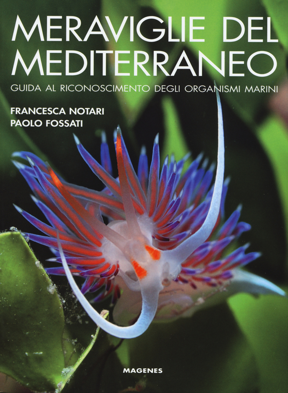 Meraviglie del Mediterraneo. Guida al riconoscimento degli organismi marini. Ediz. illustrata