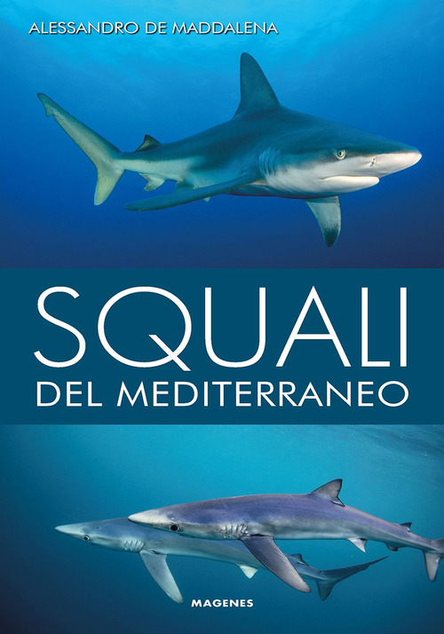 Squali del Mediterraneo. Ediz. a colori