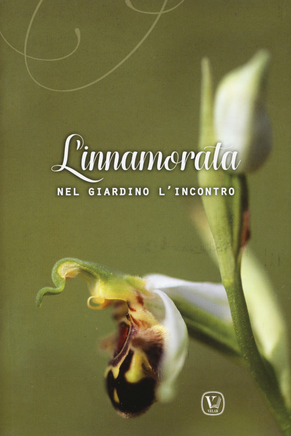 L'innamorata. Nel giardino l'incontro. Ediz. a colori