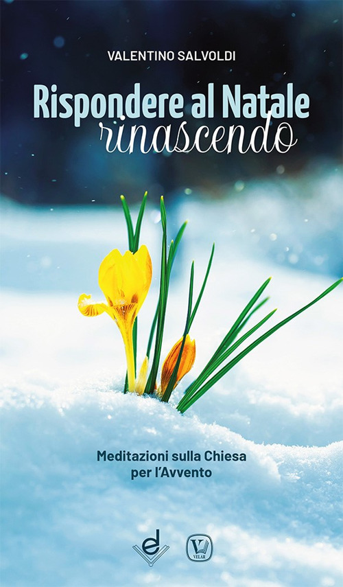 Rispondere al Natale rinascendo. Meditazioni sulla Chiesa per l'Avvento