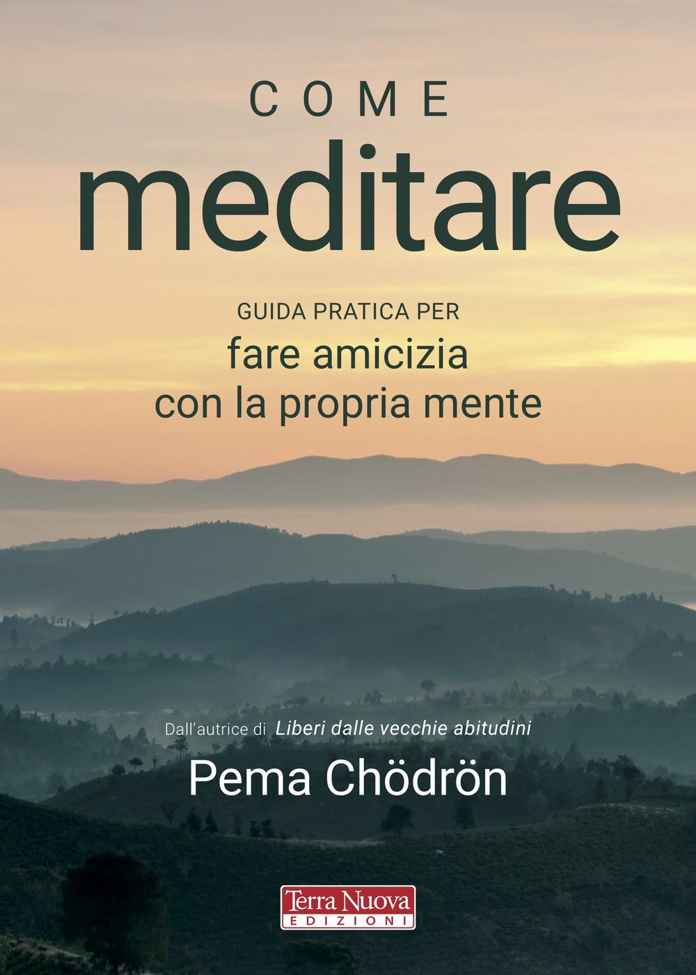 Come meditare. Guida pratica per fare amicizia con la propria mente