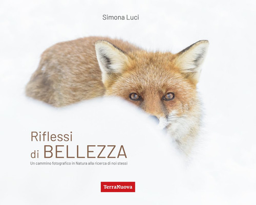Riflessi di bellezza. Un cammino fotografico in Natura alla ricerca di se stessi. Ediz. a colori