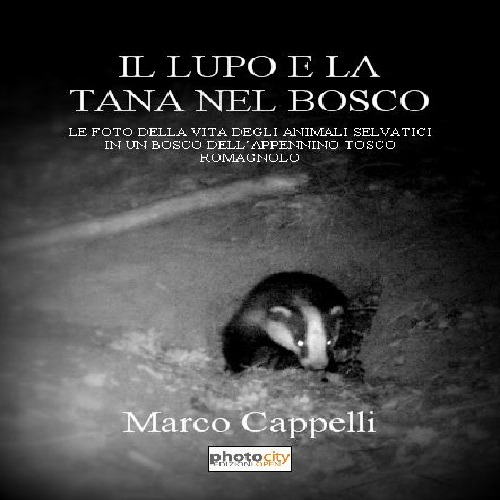 Il lupo e la tana nel bosco. Le foto della vita degli animali selvatici in un bosco dell'Appennino tosco-romagnolo. Ediz. illustrata