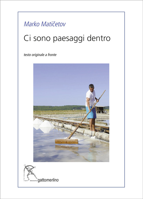Ci sono paesaggi dentro. Ediz. multilingue