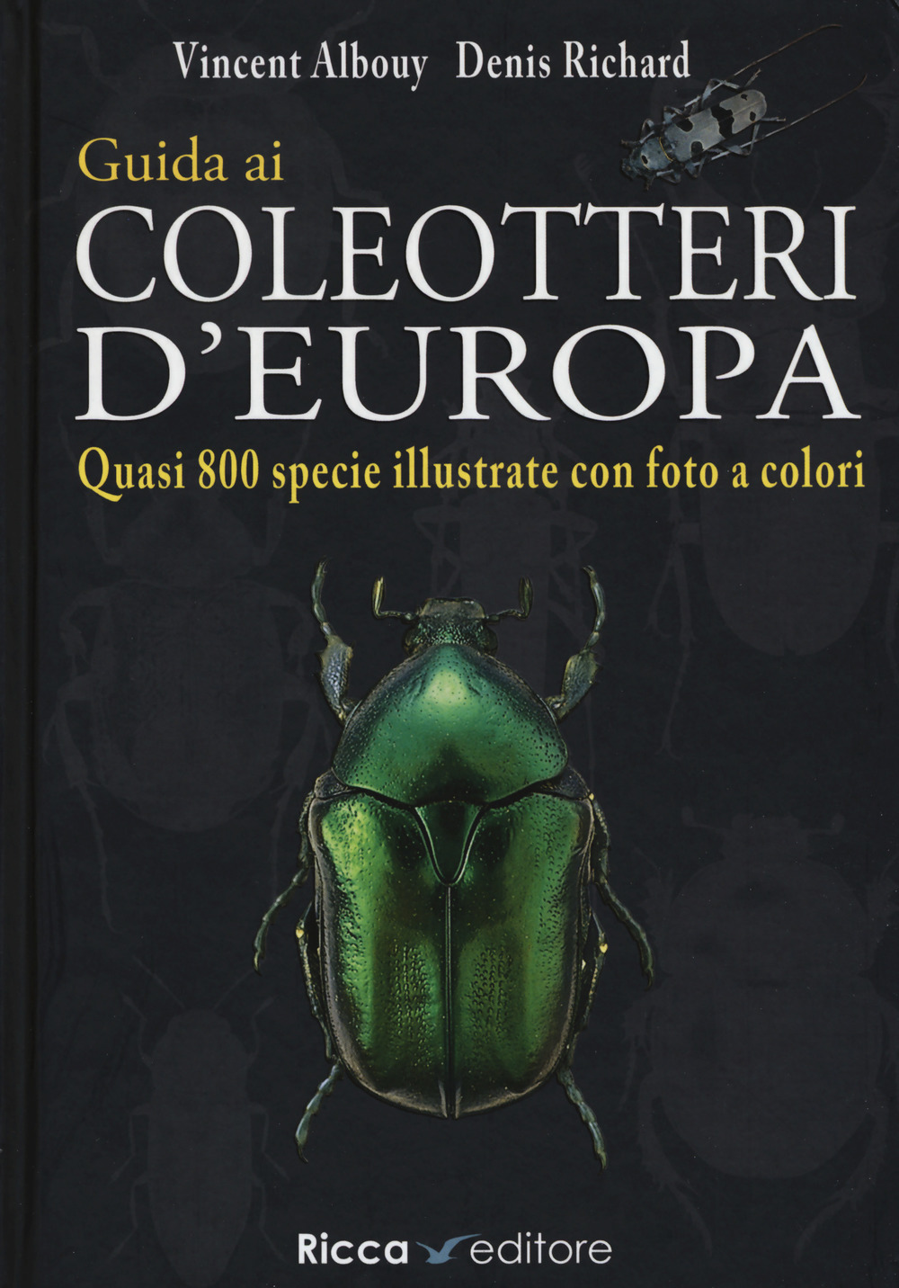 Guida ai coleotteri d'Europa. Ediz. a colori