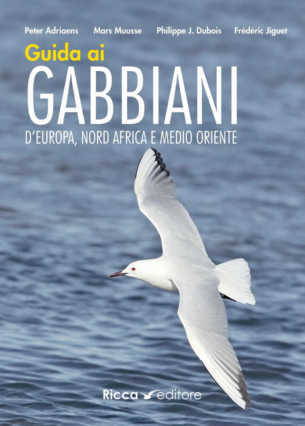 Guida ai gabbiani d'Europa, Nord Africa e Medio Oriente. Ediz. a colori
