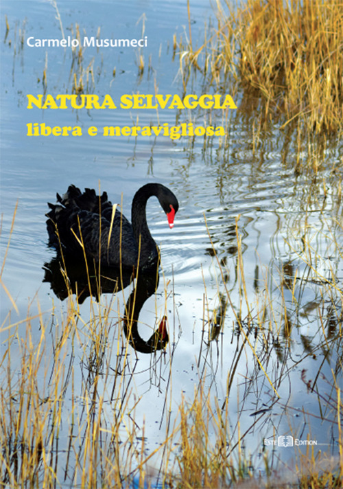 Natura selvaggia. Libera e meravigliosa. Ediz. a colori