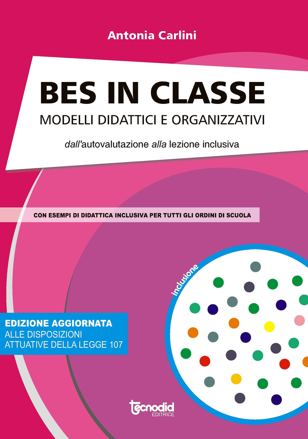 Bes in  classe. Modelli didattici e organizzativi dall'autovalutazione alla lezione inclusiva