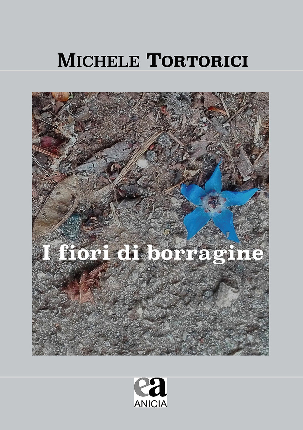 I fiori di borragine