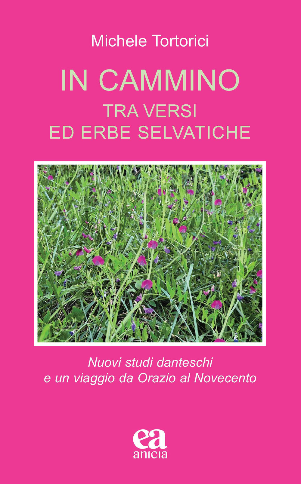 In cammino. Tra versi ed erbe selvatiche. Nuovi studi danteschi e un viaggio da Orazio al Novecento