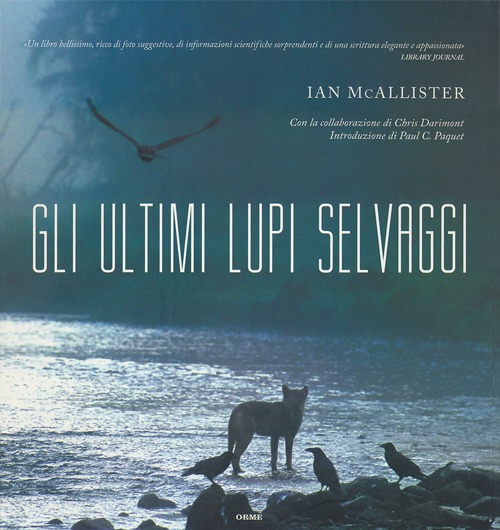 Gli ultimi lupi selvaggi. Ediz. illustrata