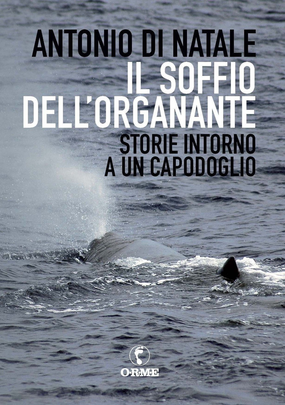 Il soffio dell'organante. Storie intorno a un capodoglio