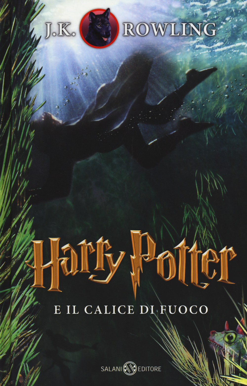 Harry Potter e il calice di fuoco. Vol. 4