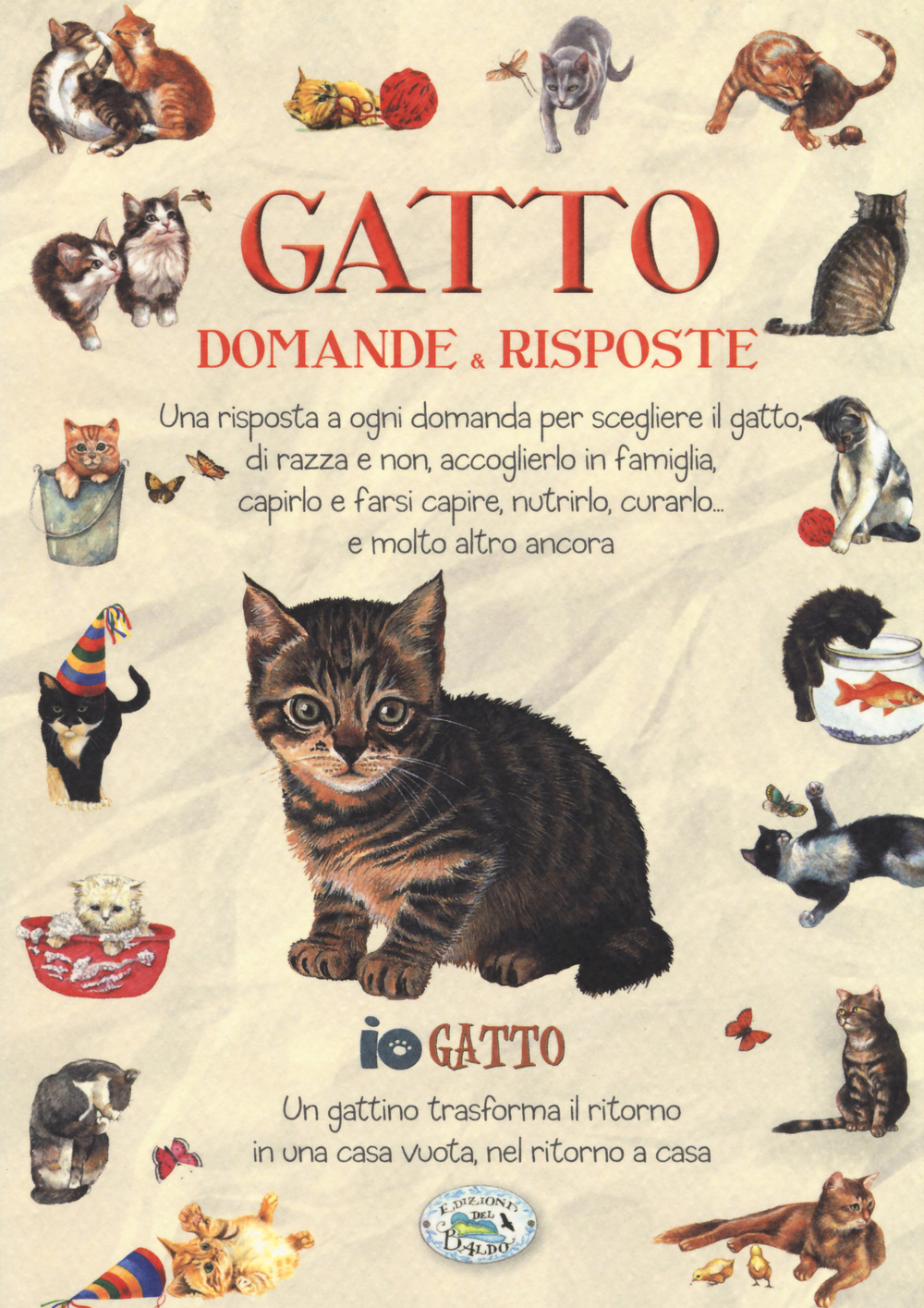 Gatto. Domande & risposte