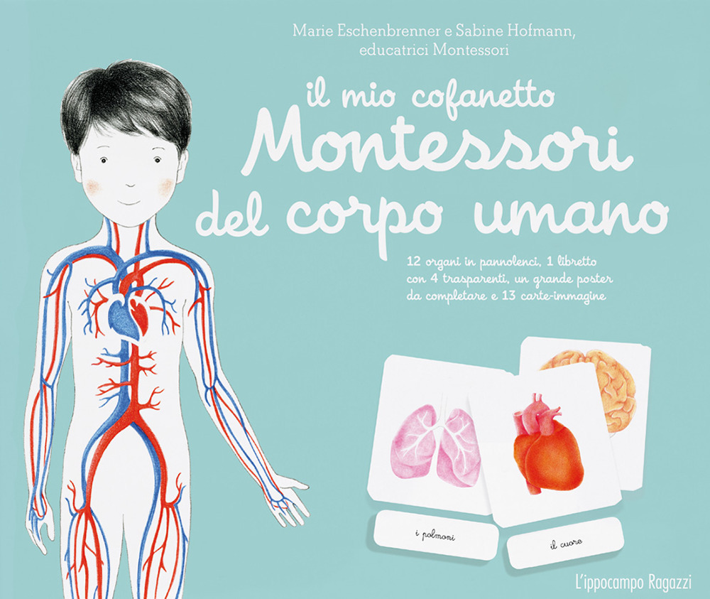 Il mio cofanetto Montessori del corpo umano