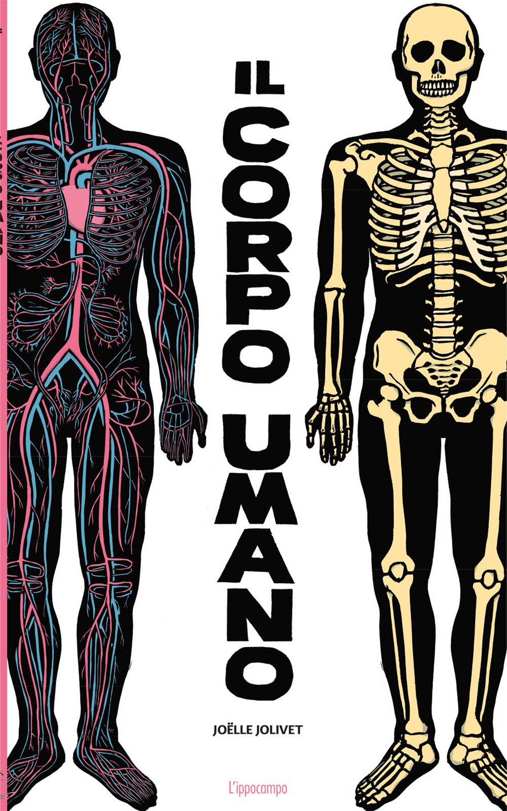 Il corpo umano. Ediz. a colori