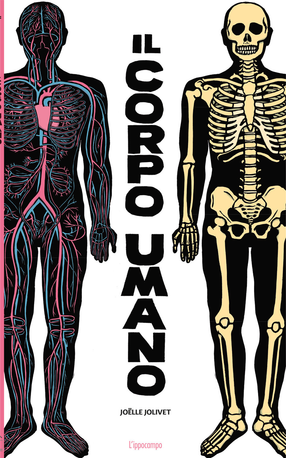 Il corpo umano. Ediz. a colori