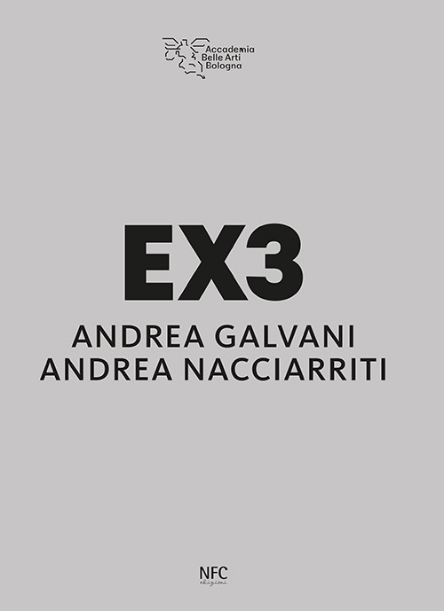 EX3. Andrea Galvani, Andrea Nacciarriti