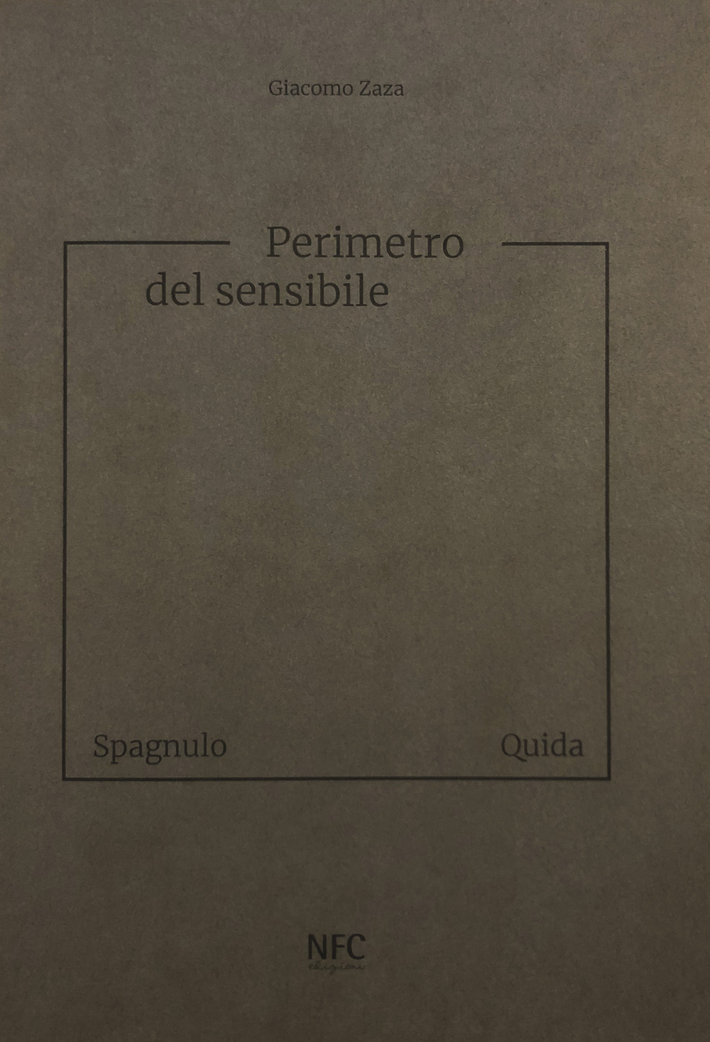 Perimetro del sensibile. Giuseppe Spagnulo Raffaele Quida. Ediz. illustrata