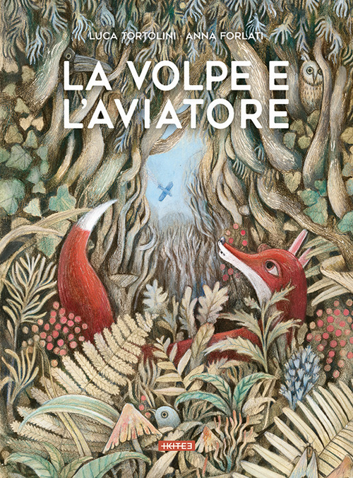 La volpe e l'aviatore. Ediz. illustrata