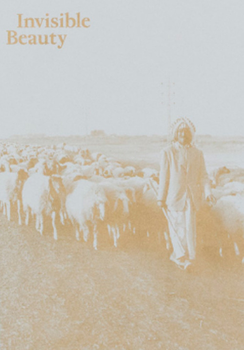Invisible Beauty. The Pavilion of Iraq at the 56th Venice Biennale. Ediz. illustrata
