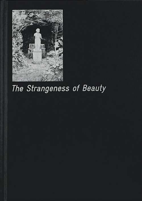 The strangeness of beauty. Ediz. illustrata