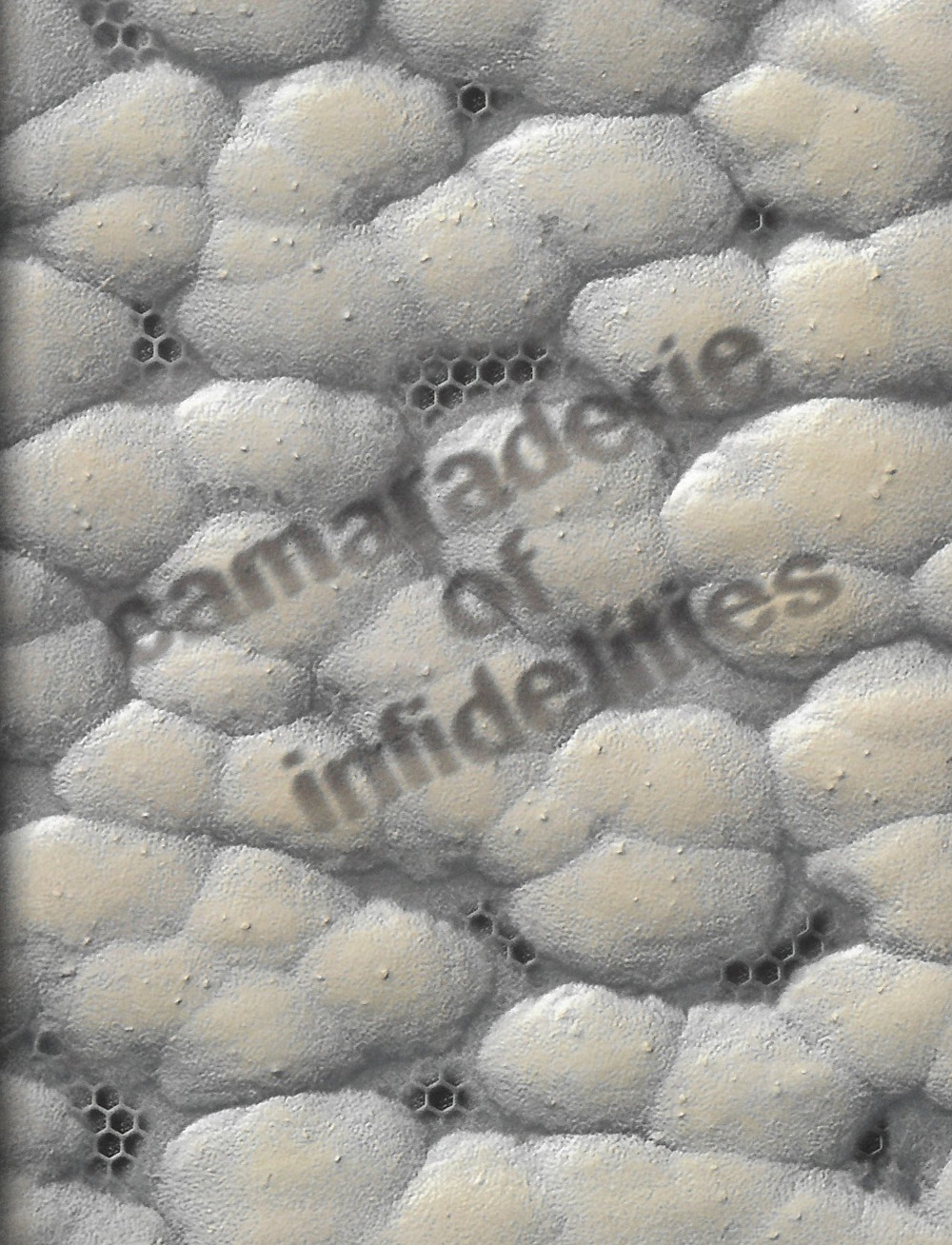 Camaraderie of infidelities. Ediz. illustrata