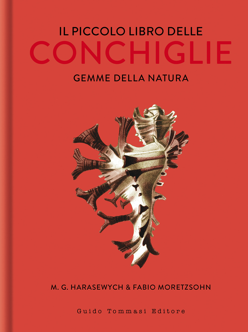 Il piccolo libro delle conchiglie. Gemme della natura. Ediz. illustrata