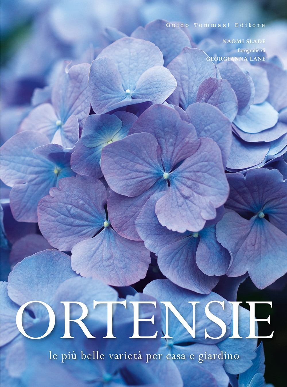 Ortensie. Le più belle varietà per casa e giardino