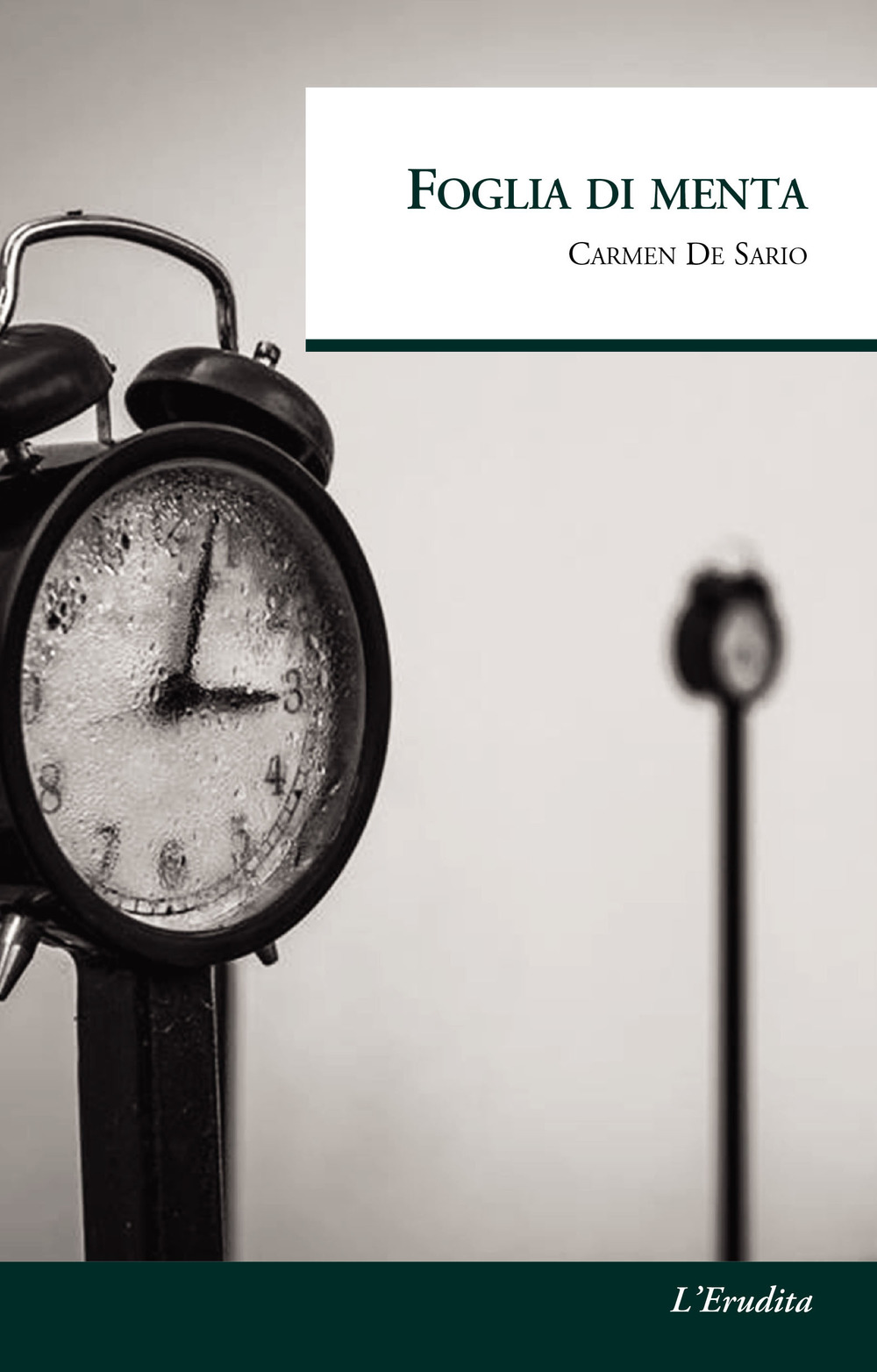 Foglia di menta