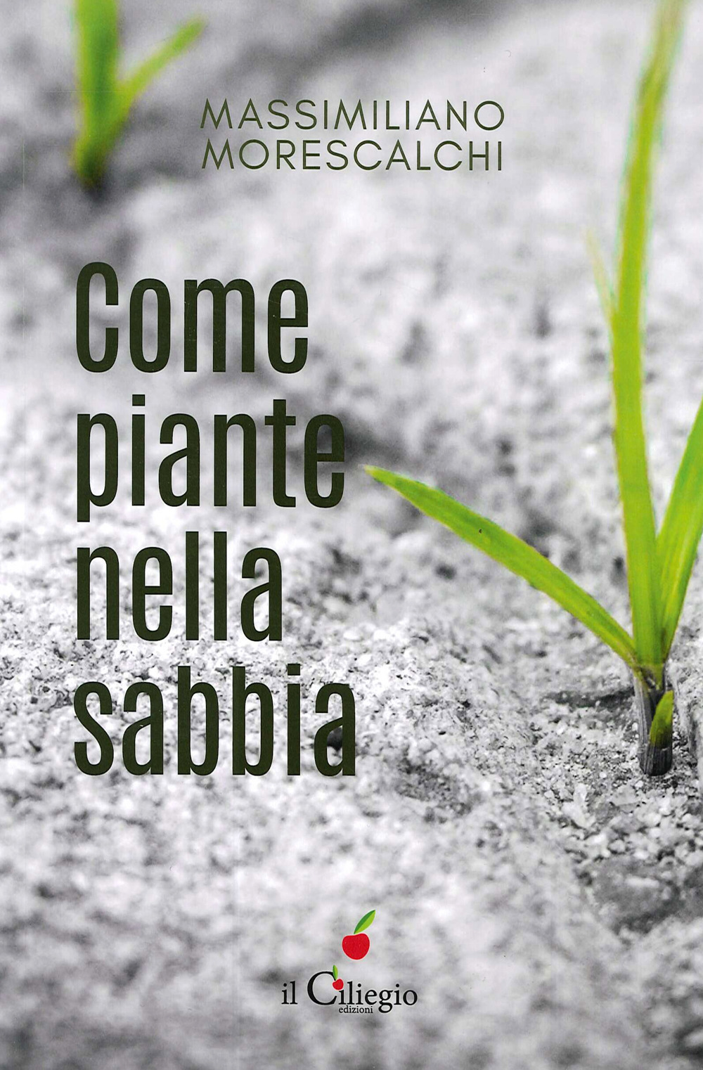 Come piante nella sabbia