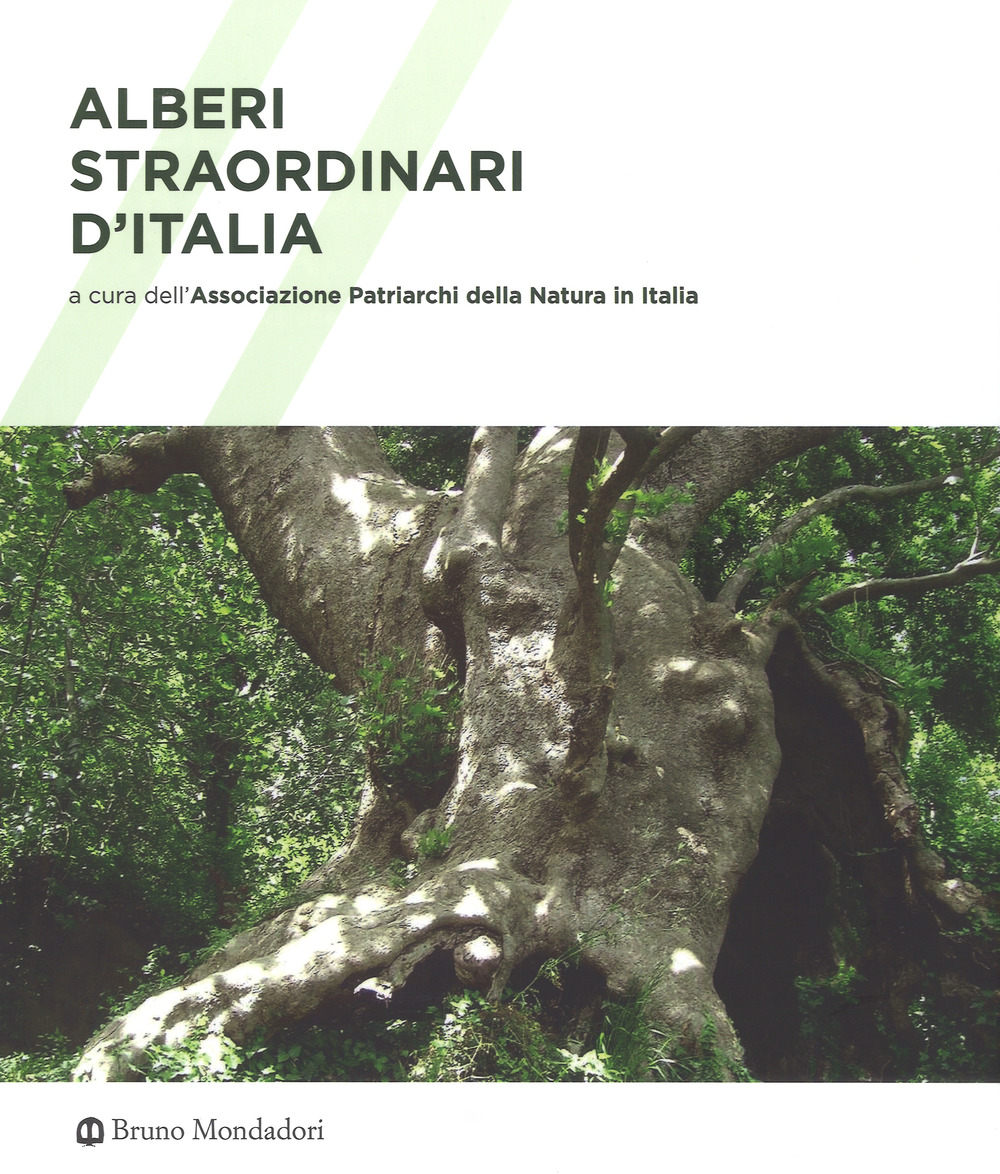Alberi straordinari d'Italia. Ediz. a colori
