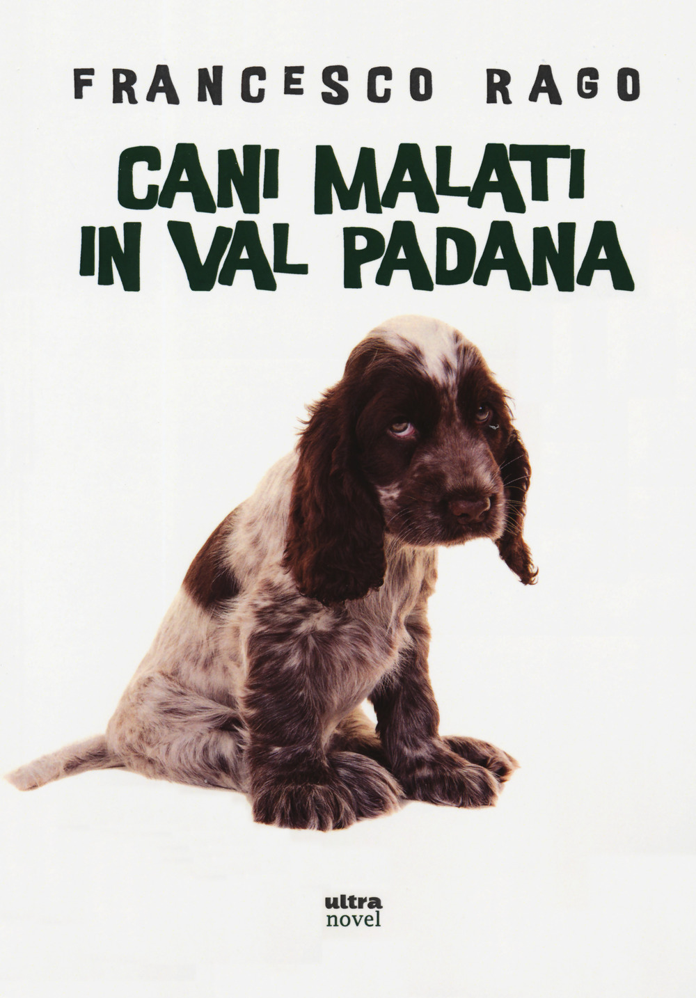 Cani malati in Val Padana
