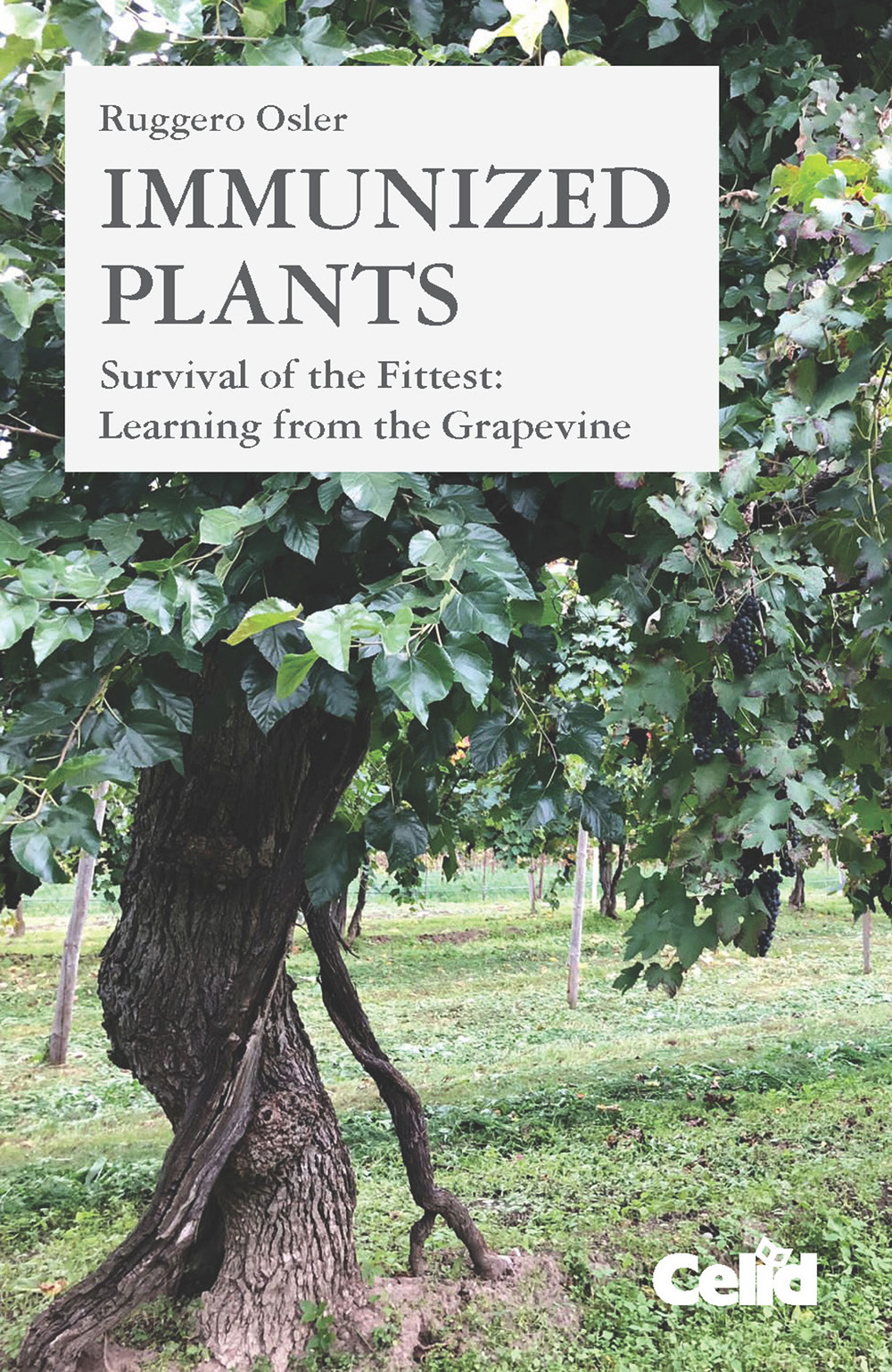 Immunized plants. Survival of the fittest: learning from the grapevine