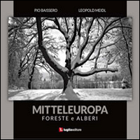 Mitteleuropa. Foreste e alberi. Ediz. illustrata
