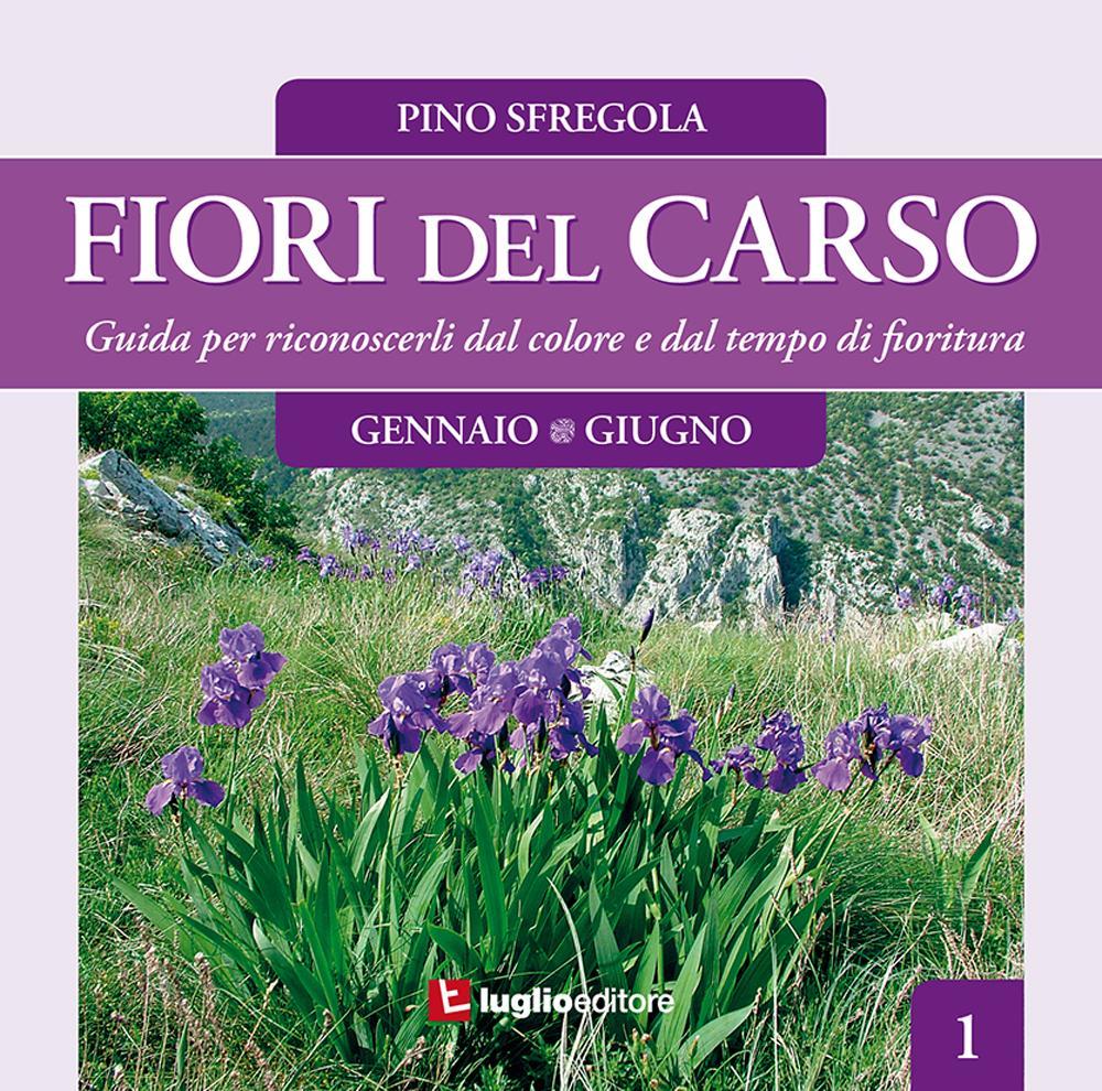 Fiori del Carso. Ediz. illustrata. Vol. 1