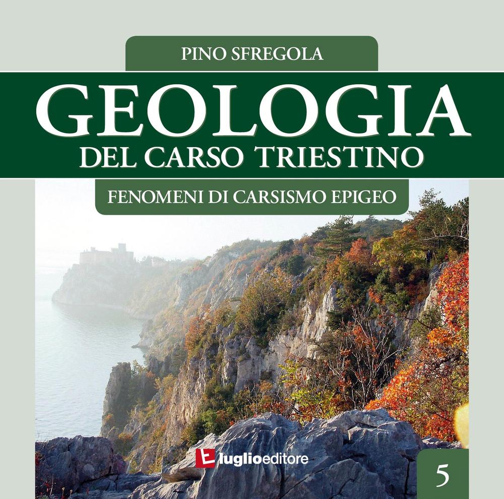 Geologia del Carso triestino. Vol. 5: Fenomeni di carsismo epigeo
