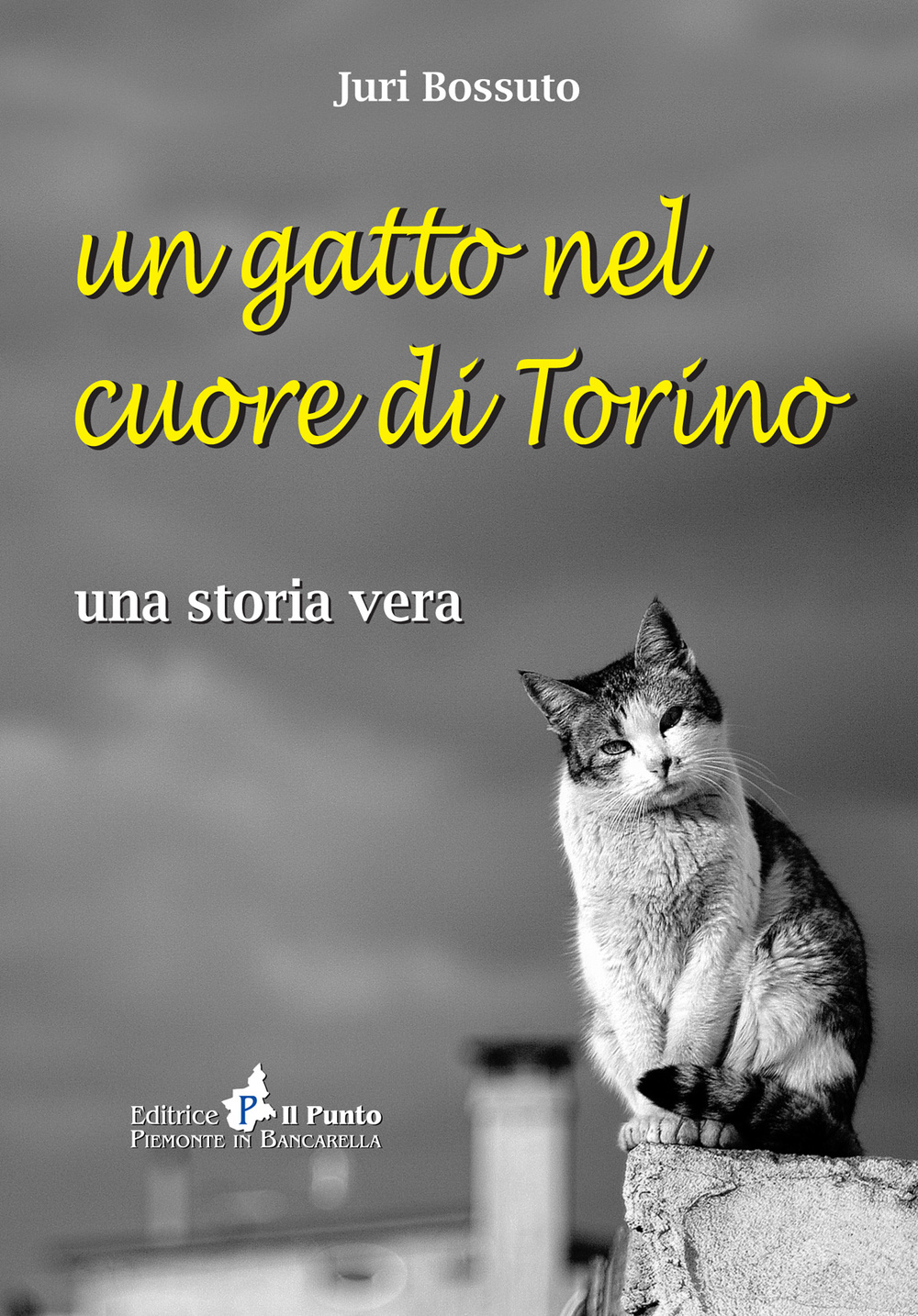 Un gatto nel cuore di Torino. Una storia vera