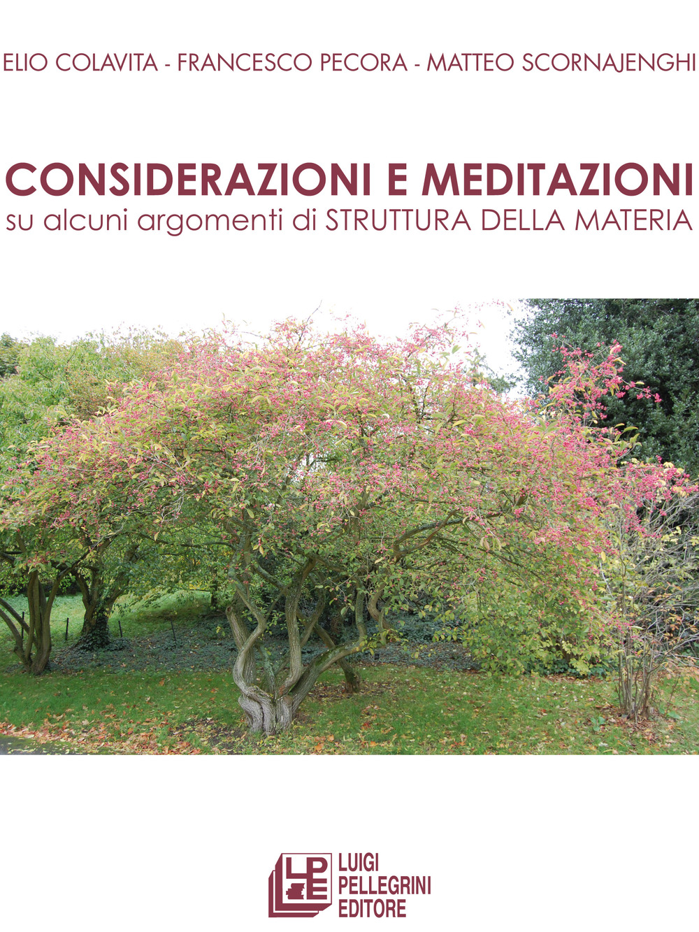 Considerazioni e meditazioni su alcuni argomenti di struttura della materia