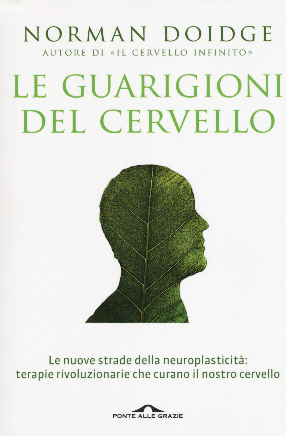 Le guarigioni del cervello. Le nuove strade della neuroplasticità: terapie rivoluzionarie che curano il nostro cervello. Nuova ediz.