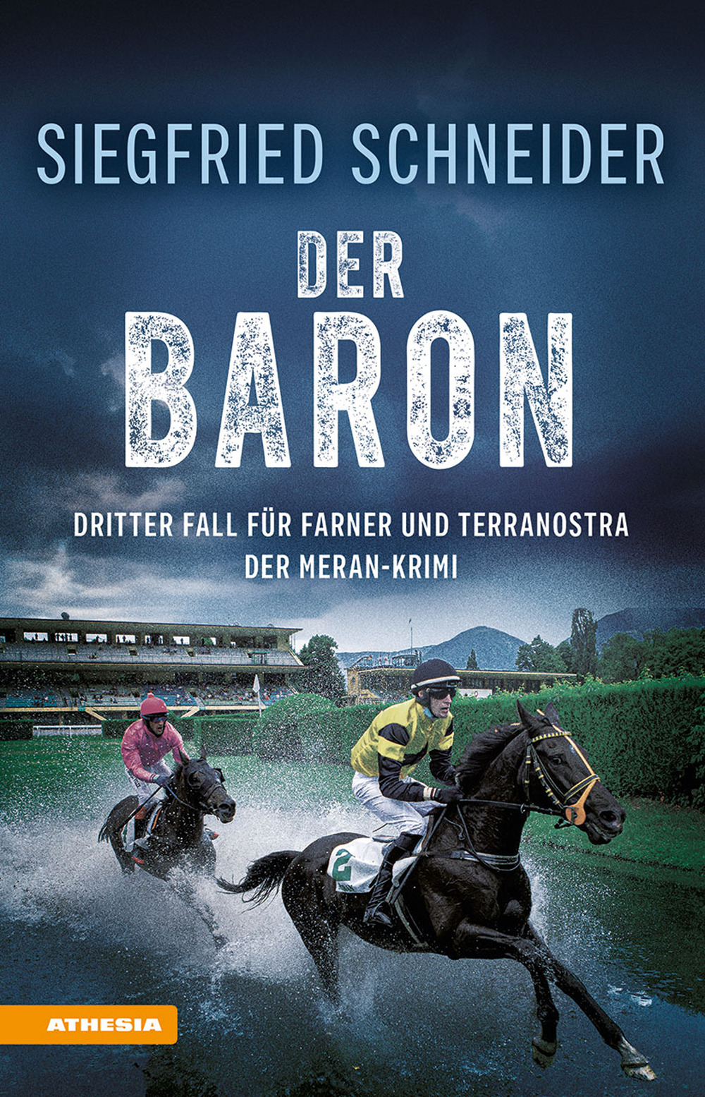 Der Baron. Der Meran-Krimi. Dritter Fall für Farner und Terranostra