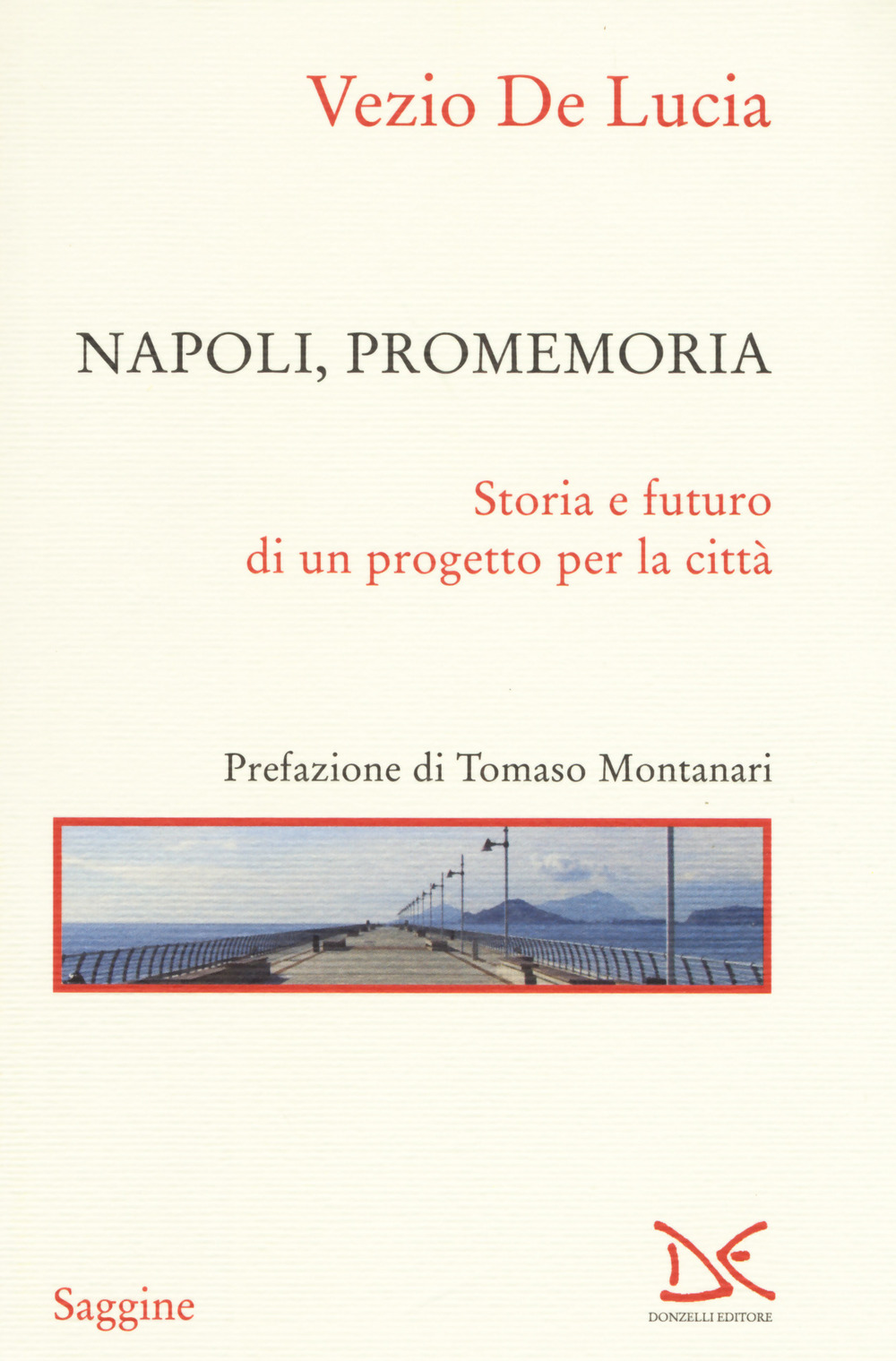 Napoli, promemoria. Storia e futuro di un progetto per la città