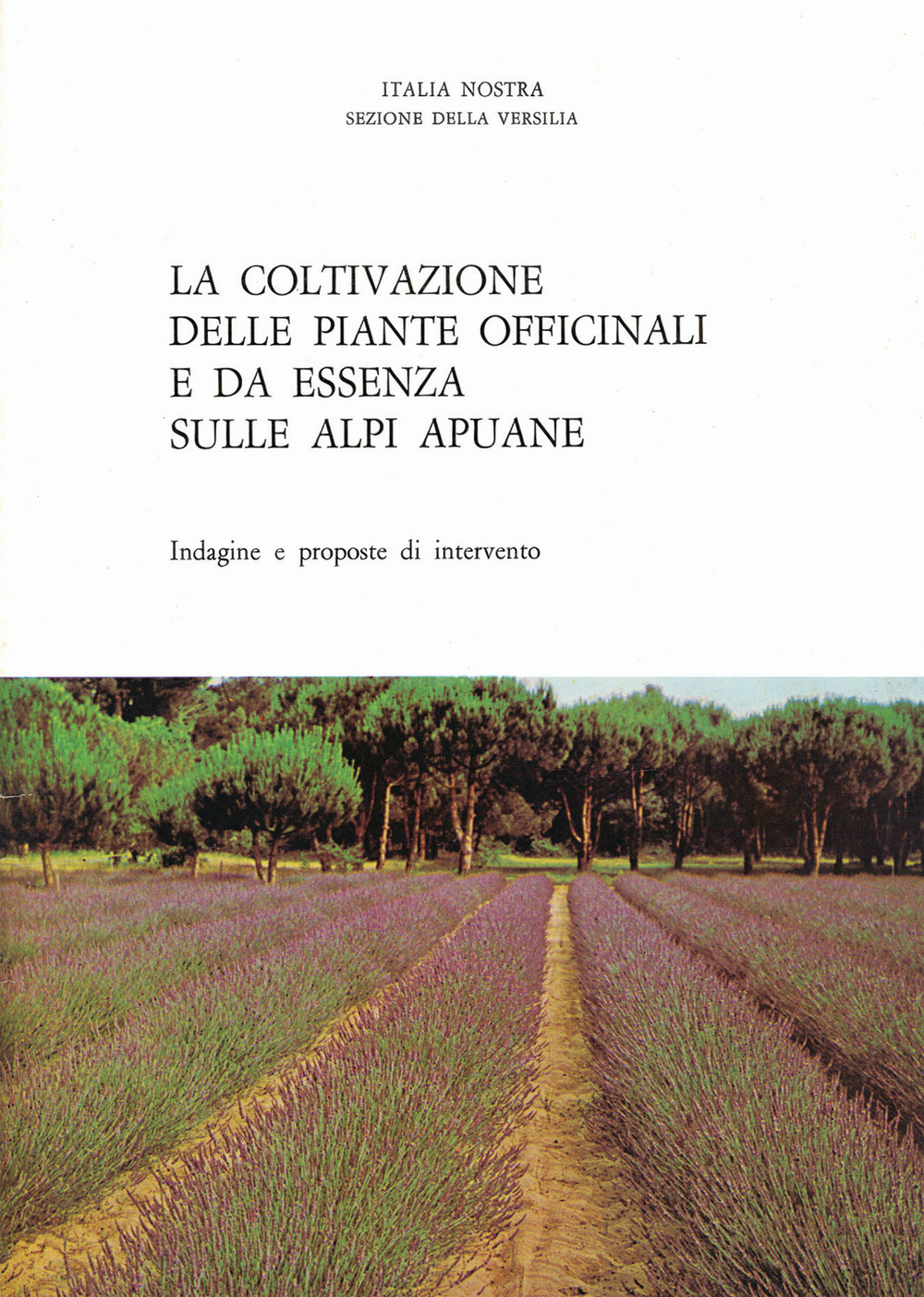 La coltivazione delle piante officinali e da essenza sulle Alpi Apuane. Indagine e proposte di intervento