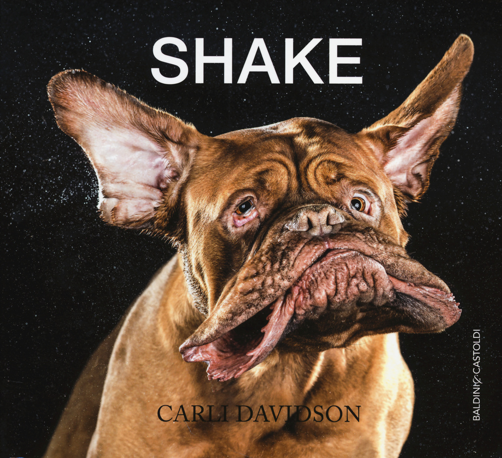 Shake. Ediz. illustrata
