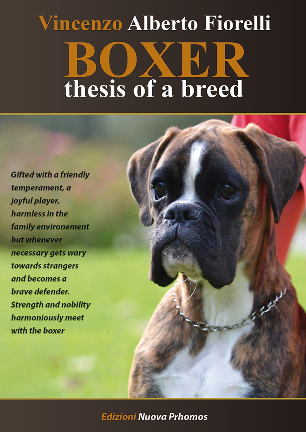 Boxer. Thesis of a breed