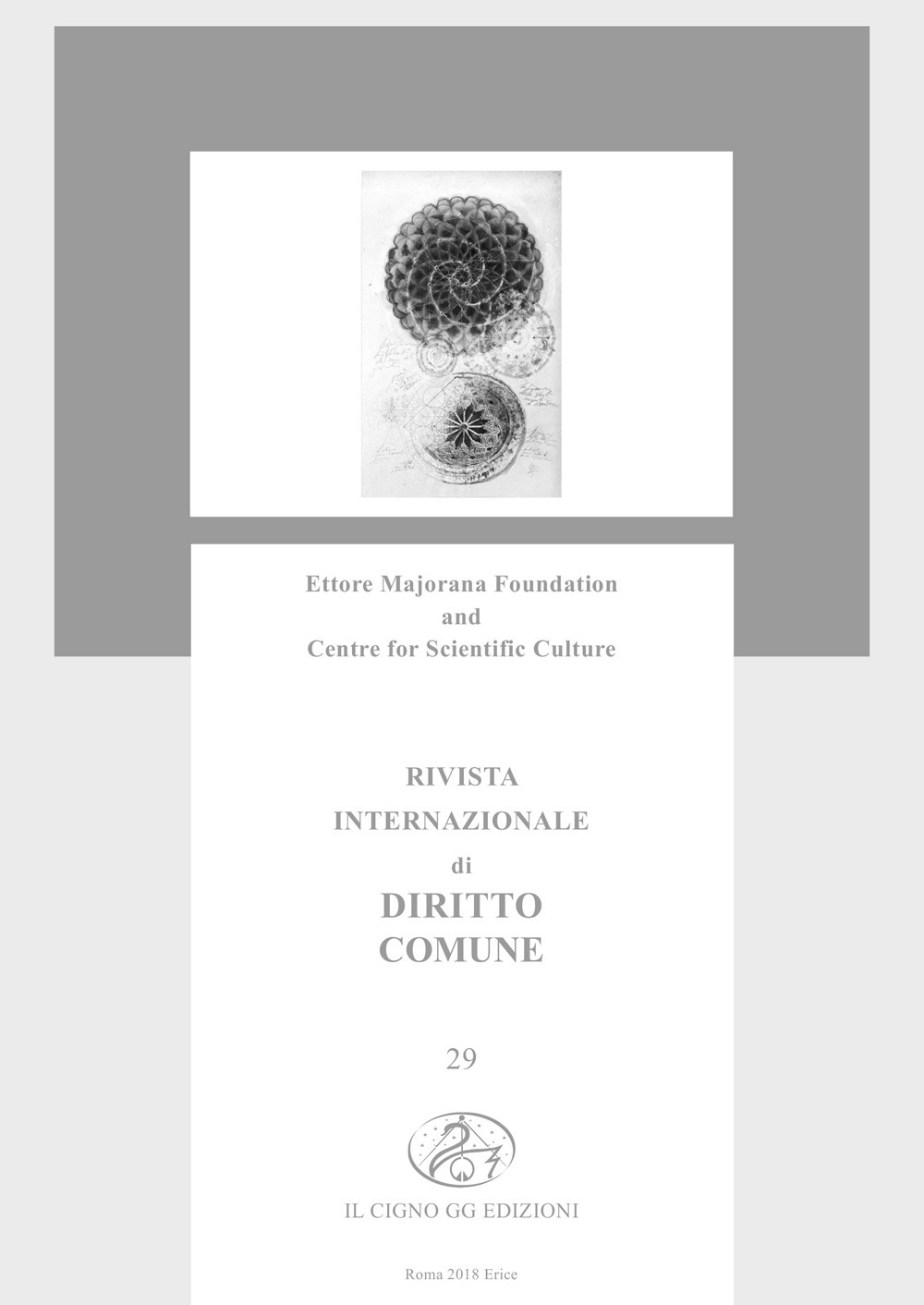 Rivista internazionale di diritto comune (2018). Vol. 29