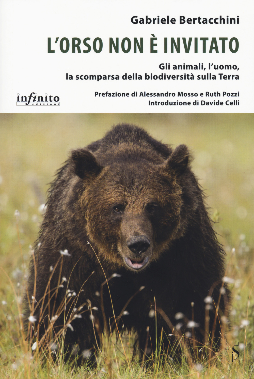 L'orso non è invitato. Gli animali, l'uomo, la scomparsa della biodiversità sulla Terra