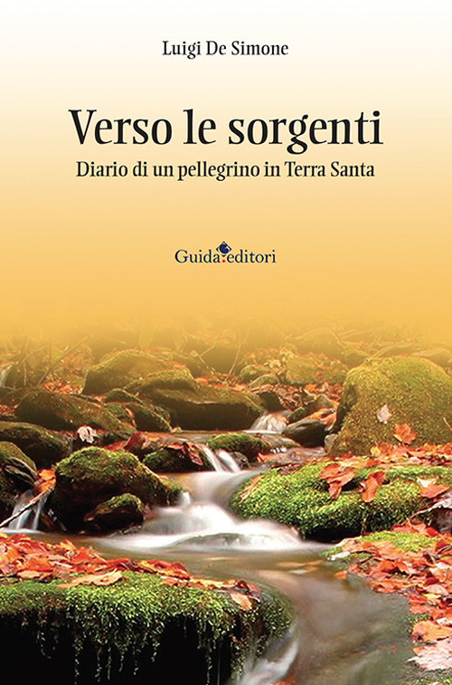 Verso le sorgenti. Diario di un pellegrino in Terra Santa